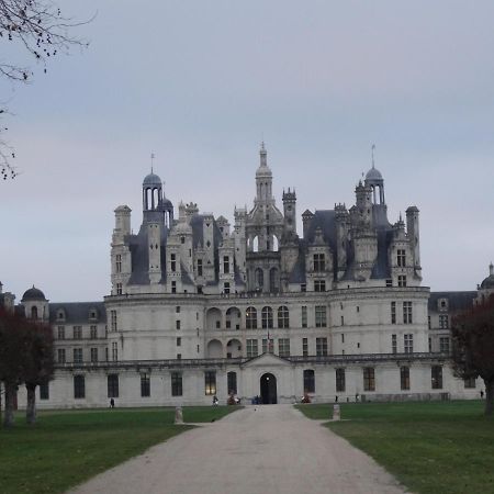 Gite Le Cerf Solognot Proche Chateau Chambord, Lamotte Beuvron Neung-sur-Beuvron Exterior photo
